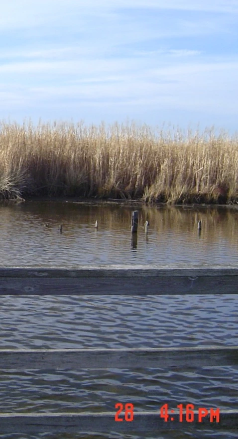 DSC03404 - 복사본.JPG