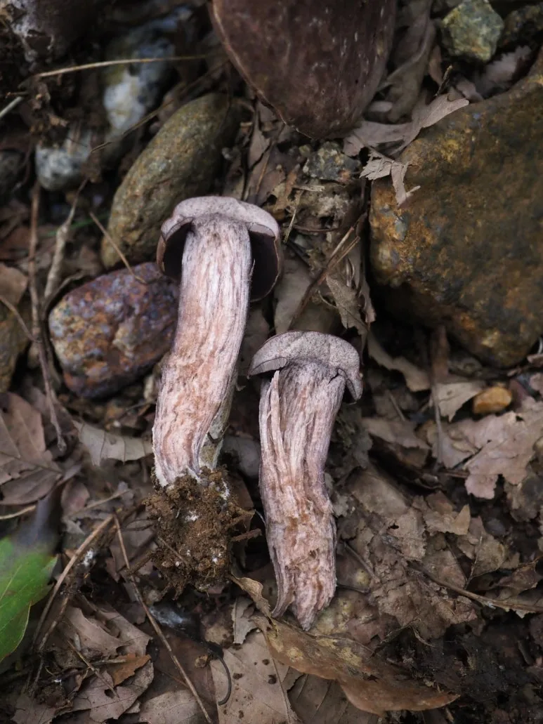 P8070292.JPG?type=w773