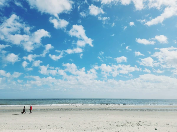 img.png?credential=yqXZFxpELC7KVnFOS48ylbz2pIh7yKj8&expires=1756652399&allow_ip=&allow_referer=&signature=sAoNsMN9Cf%2BUYAuSYTgJEOWYkps%3D