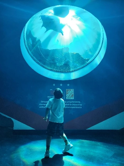 tfile.jpg?credential=yqXZFxpELC7KVnFOS48ylbz2pIh7yKj8&expires=1756652399&allow_ip=&allow_referer=&signature=GbXw81WRX7HnJoIWF04G4GFbQ3Y%3D