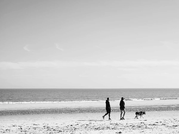 img.png?credential=yqXZFxpELC7KVnFOS48ylbz2pIh7yKj8&expires=1756652399&allow_ip=&allow_referer=&signature=9cd7fAfO1gA9XS3YEp3HgmIGFuY%3D