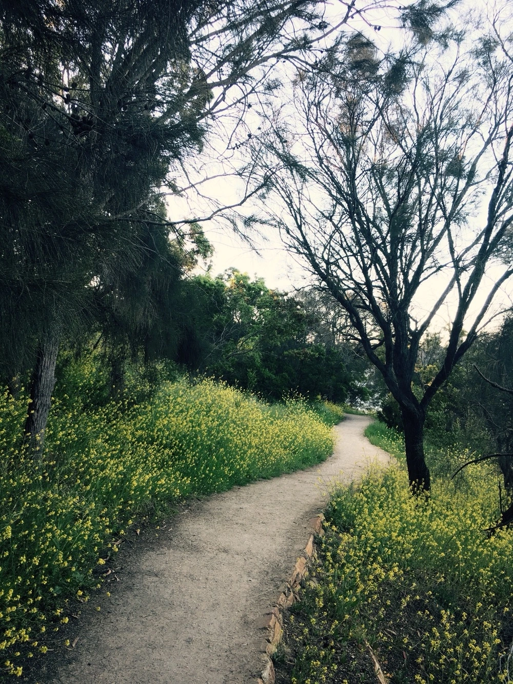 01-1 호바트의 백수들11.JPG