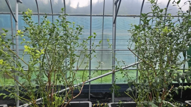 900%EF%BC%BF20250716%EF%BC%BF111135.jpg?type=w773