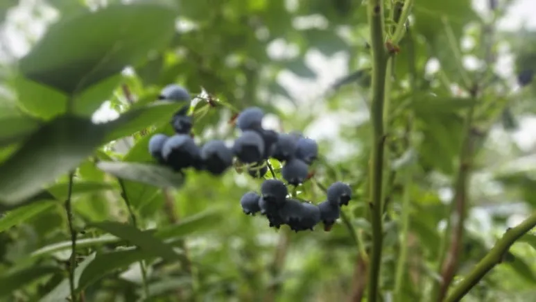 900%EF%BC%BF20250715%EF%BC%BF104951.jpg?type=w773