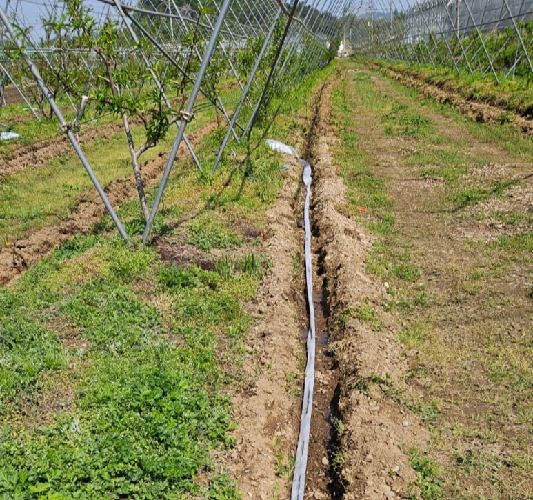 900%EF%BC%BF20250424%EF%BC%BF100159.jpg?type=w773