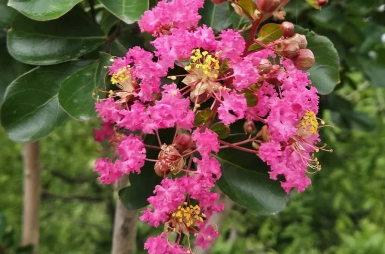 900%EF%BC%BF20250717%EF%BC%BF084131.jpg?type=w773