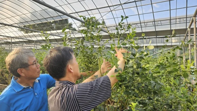 900%EF%BC%BF20250715%EF%BC%BF182222.jpg?type=w773