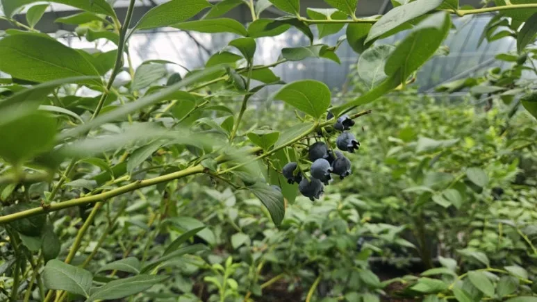 900%EF%BC%BF20250715%EF%BC%BF110928.jpg?type=w773