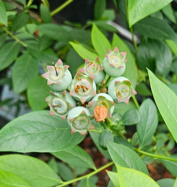 900%EF%BC%BF20250422%EF%BC%BF093907.jpg?type=w773