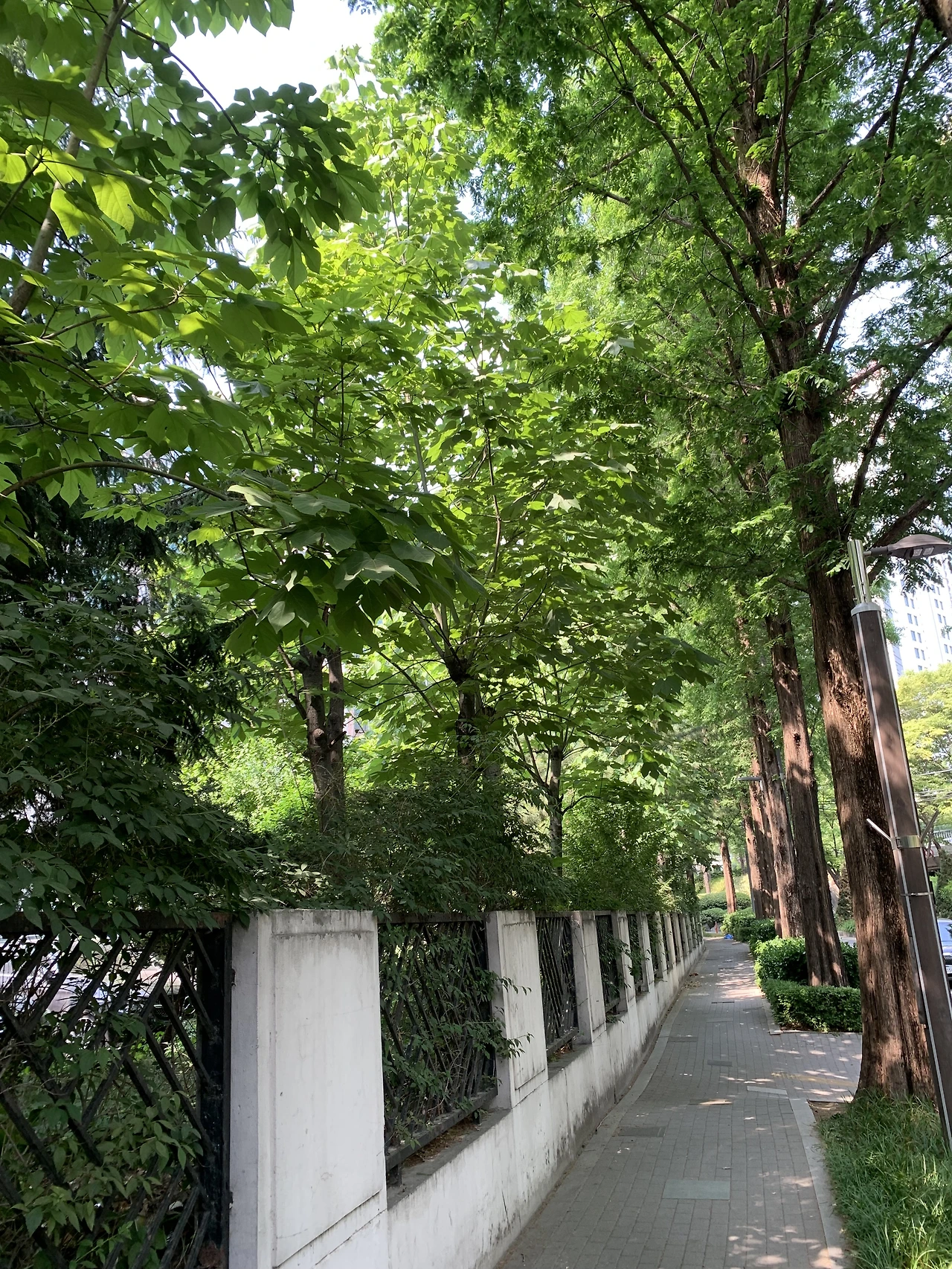 IMG_7112.JPG?type=w3840