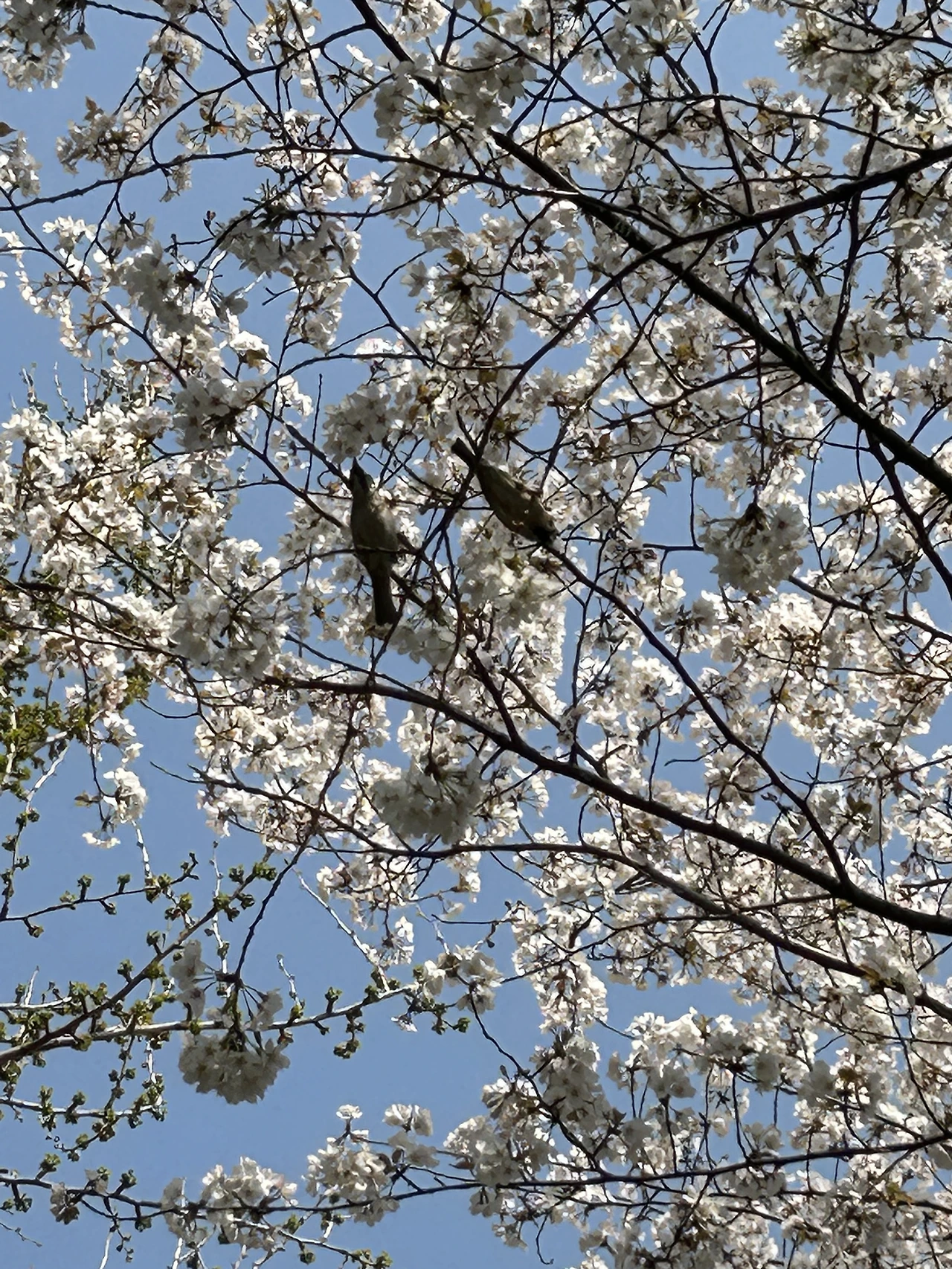 IMG_3794.JPG?type=w3840