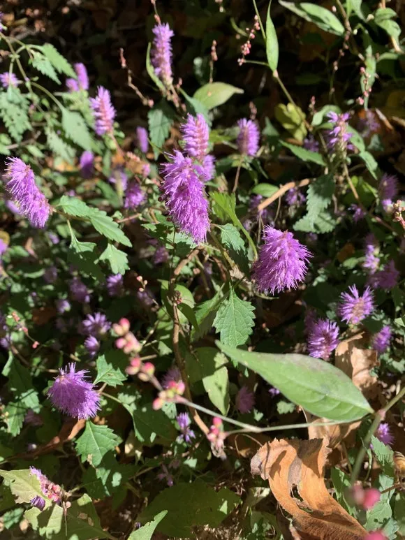 IMG_05611.JPG?type=w580