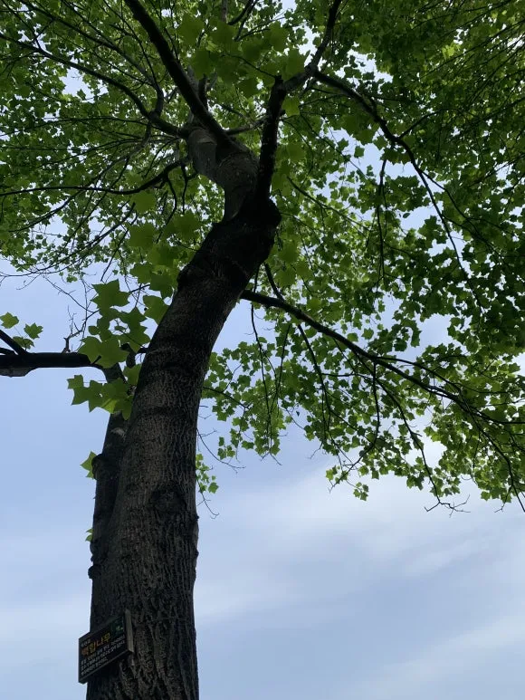 IMG_6937.JPG?type=w580