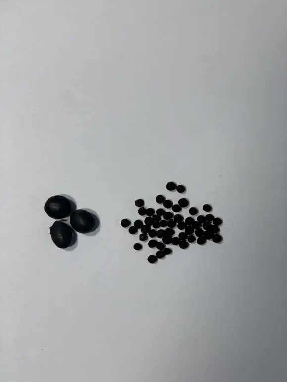 IMG_7488.JPG?type=w580