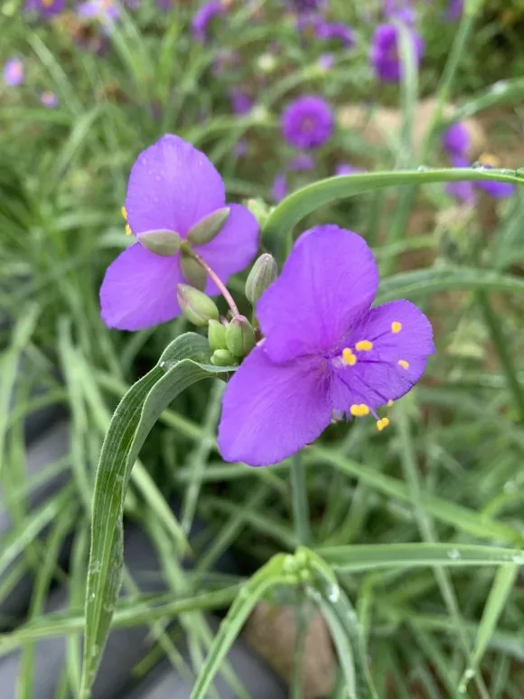 IMG_9169.JPG?type=w580