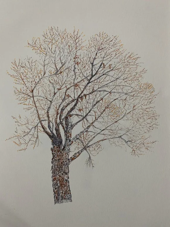 %EB%8A%90%EB%A6%85%EB%82%98%EB%AC%B4.JPG?type=w580