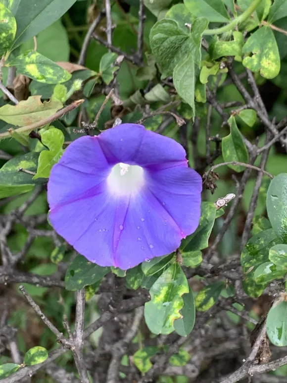 IMG_8859.JPG?type=w580