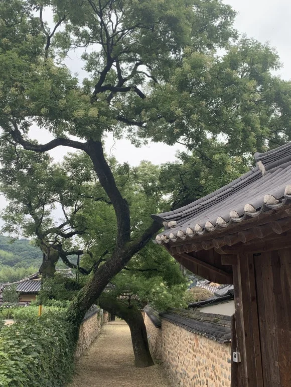 IMG_8512.JPG?type=w580