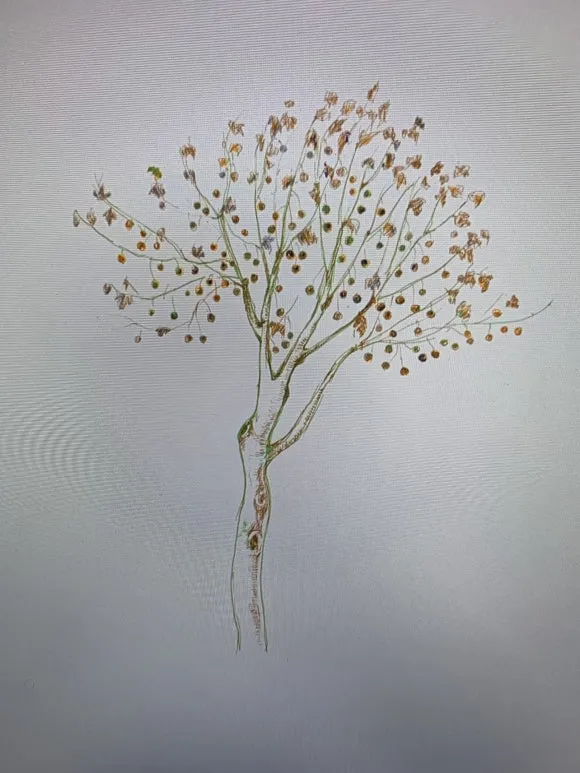 IMG_7781.JPG?type=w580