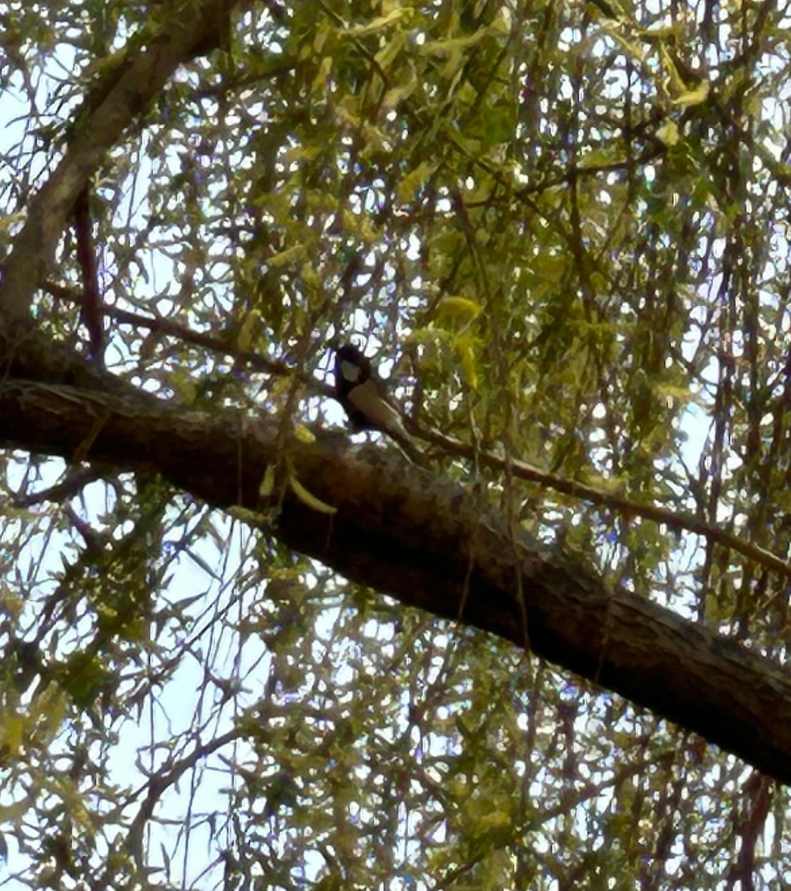 SE-1b206282-b7a3-4071-9477-28e1466c2b61.jpg?type=w3840