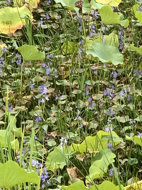 IMG_9309.JPG?type=w580