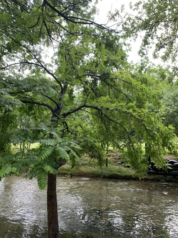 IMG_7696.jpg?type=w580