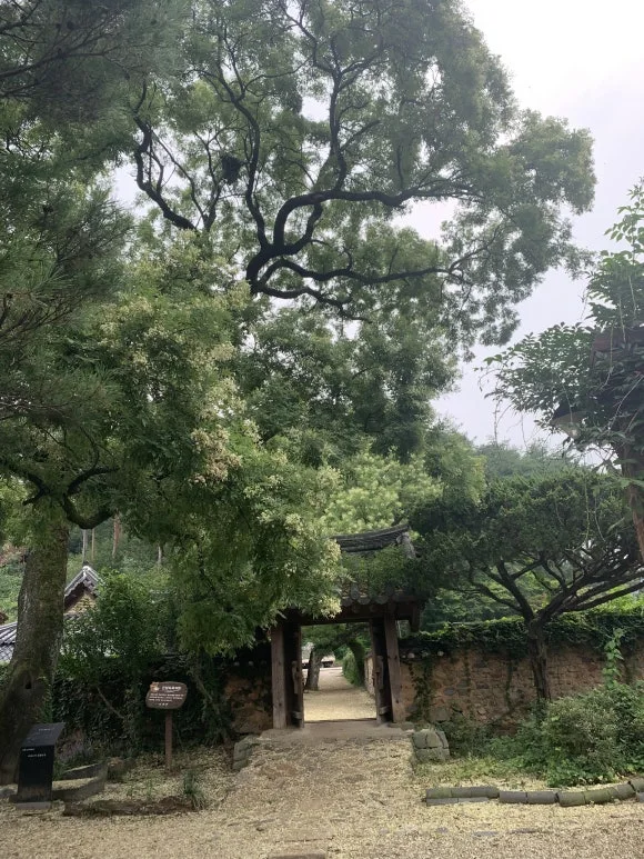 IMG_8509.JPG?type=w580