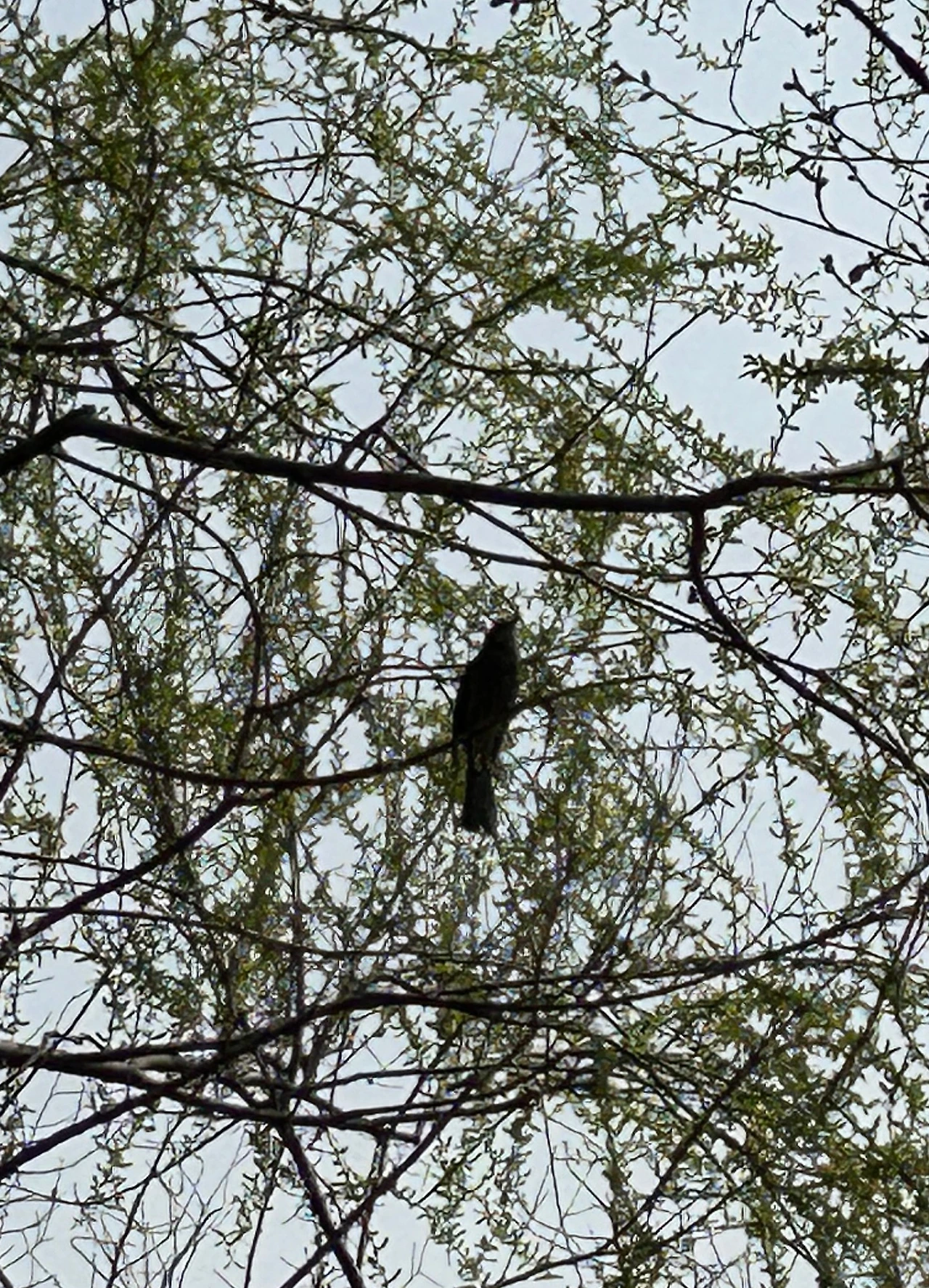 SE-b5aad79a-00cb-455d-be11-95bb0f89c398.jpg?type=w3840