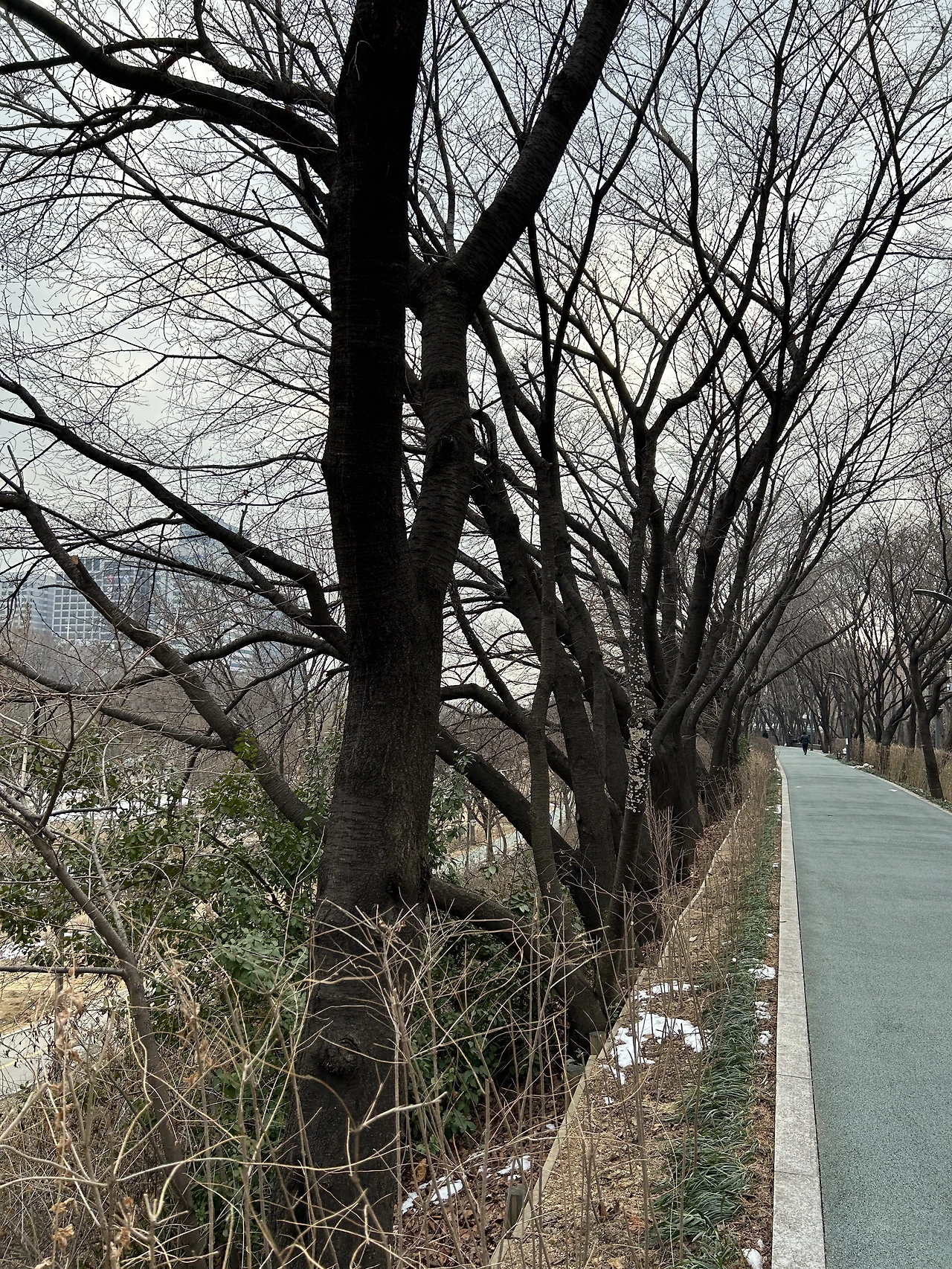 IMG_1854.JPG?type=w3840