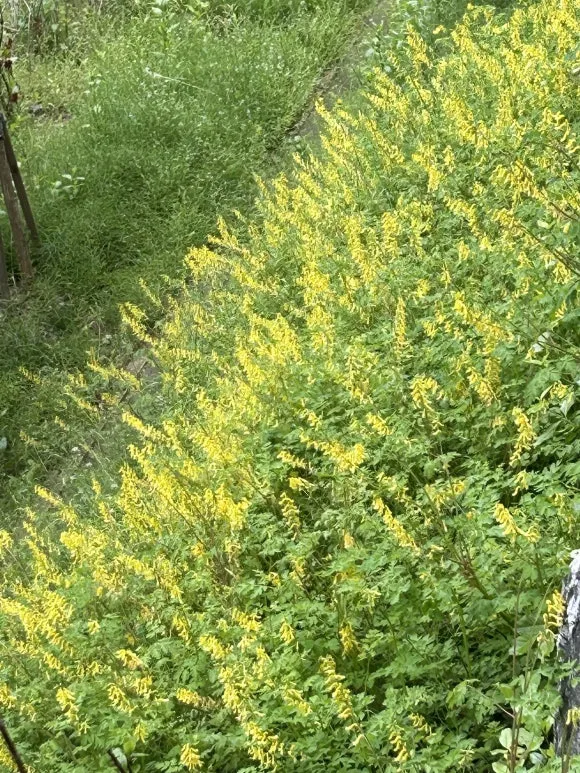 IMG_5361.JPG?type=w580