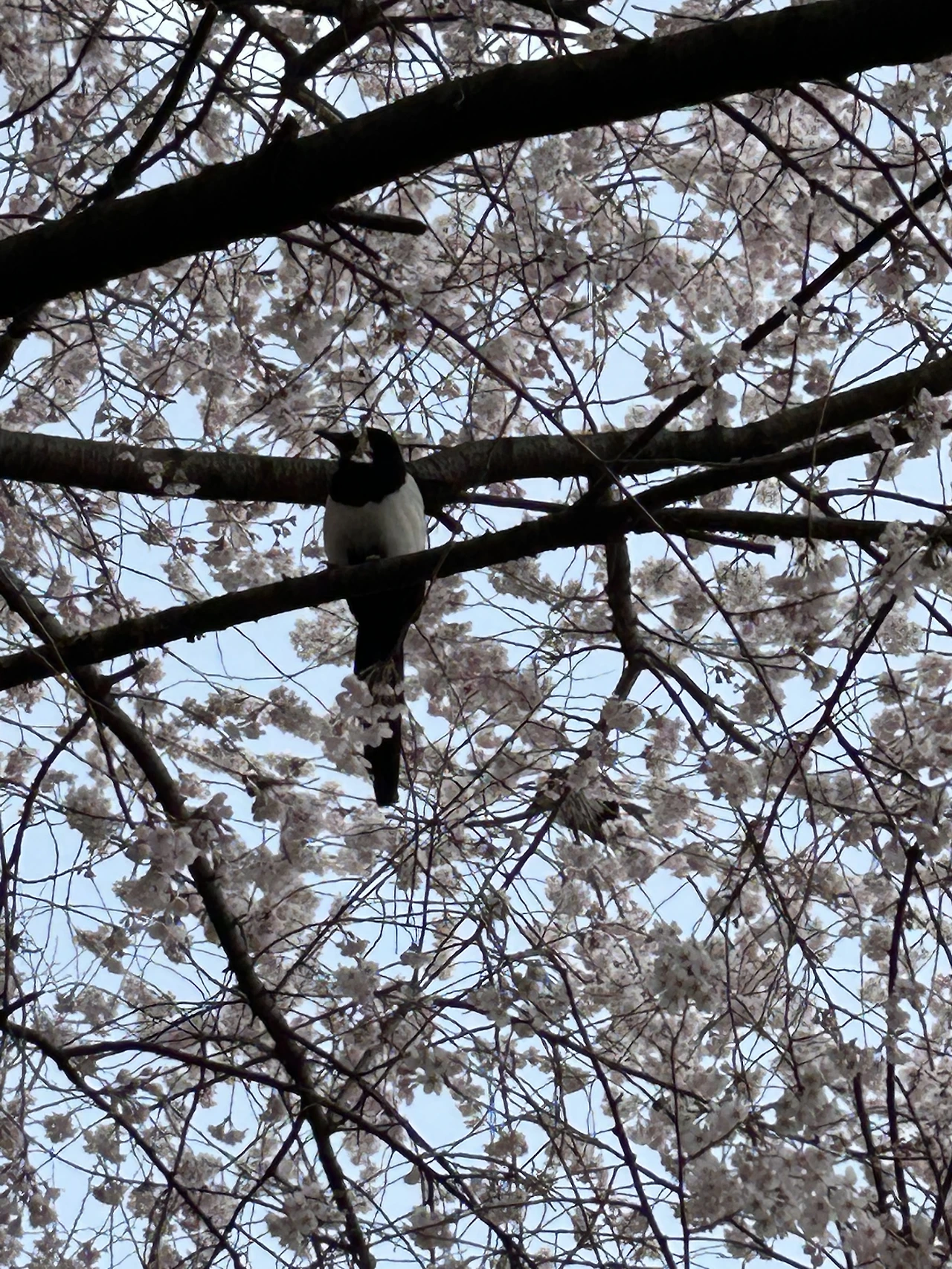 IMG_3590.JPG?type=w3840