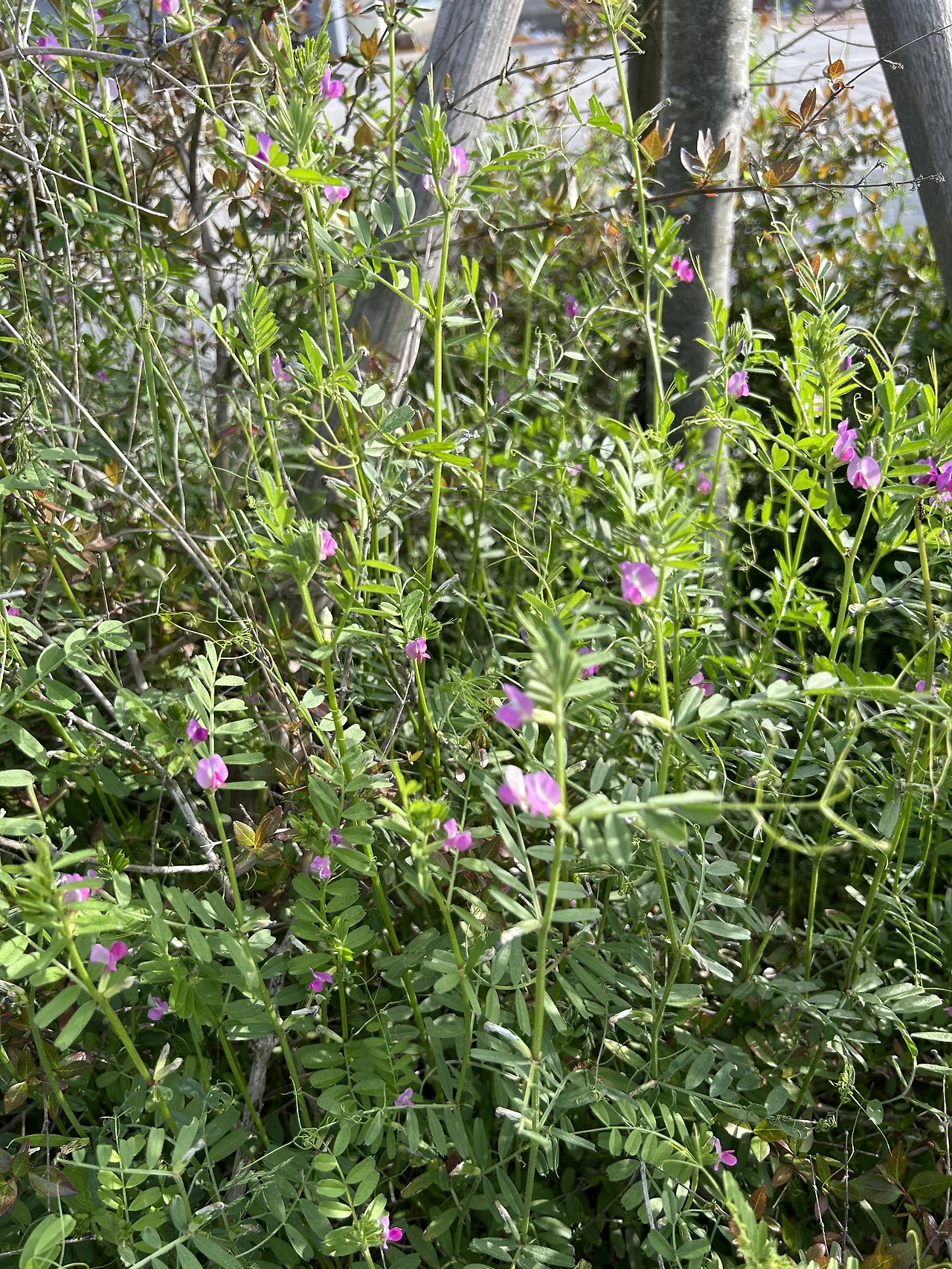 IMG_5318.JPG?type=w3840