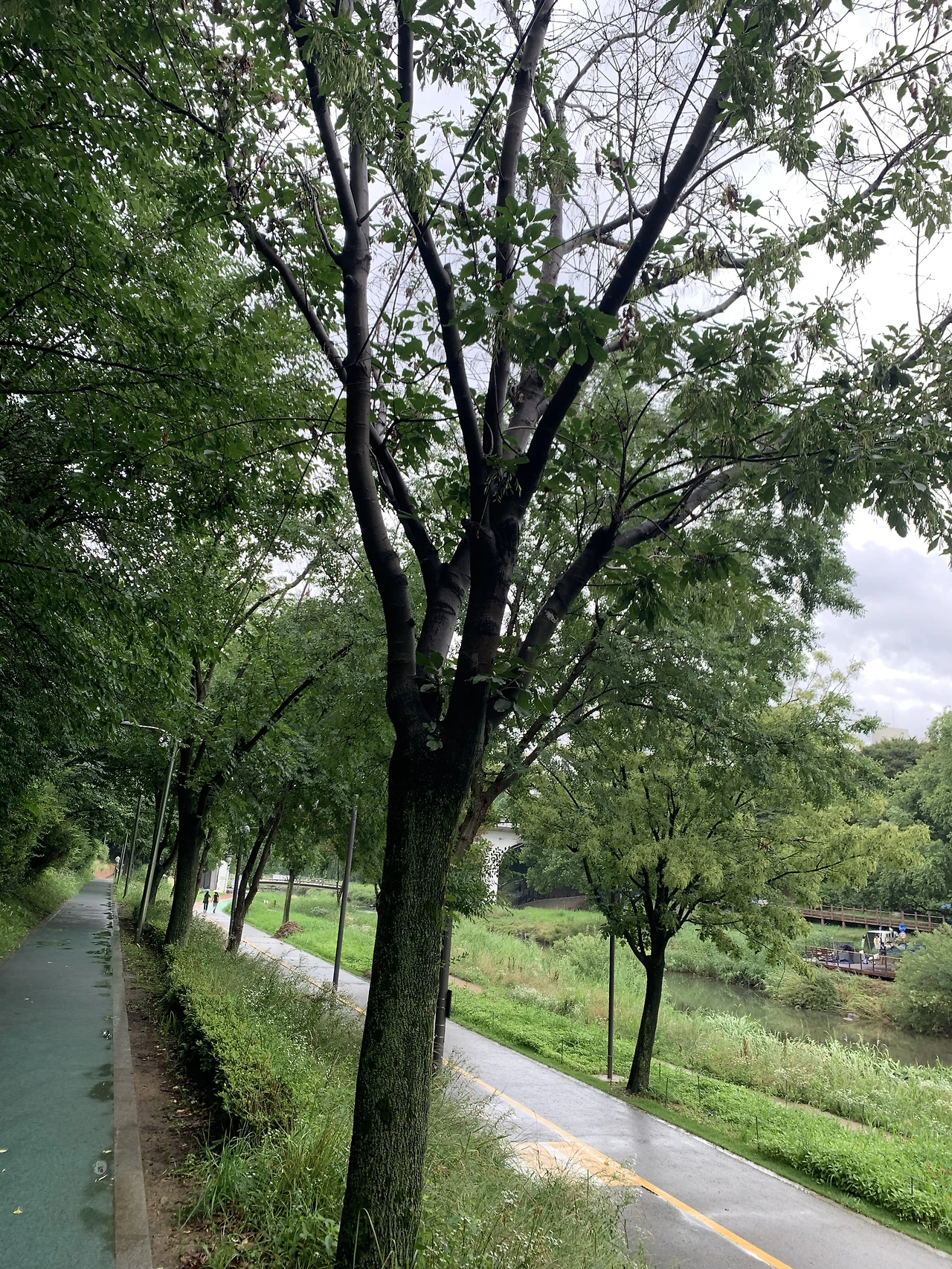 IMG_7669.JPG?type=w3840