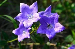 47DgQ7kN6Q.jpg?type=w580