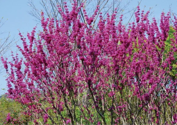 %EB%B0%95%ED%83%9C%EA%B8%B0.jpg?type=w580