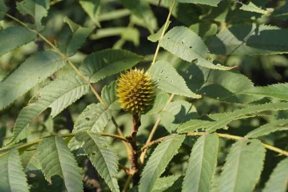 ib58_578_i3.jpg?type=w580