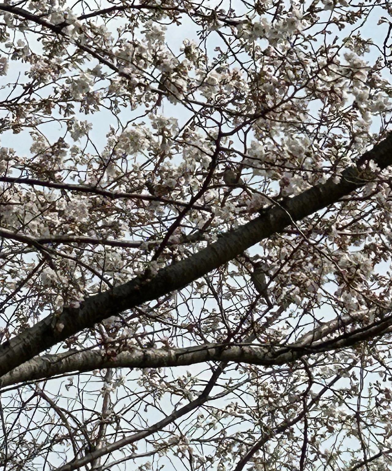 SE-b59dc43c-69b2-40cb-bbab-0a7d6b16ae96.jpg?type=w3840