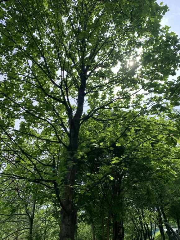 IMG_6940.JPG?type=w580