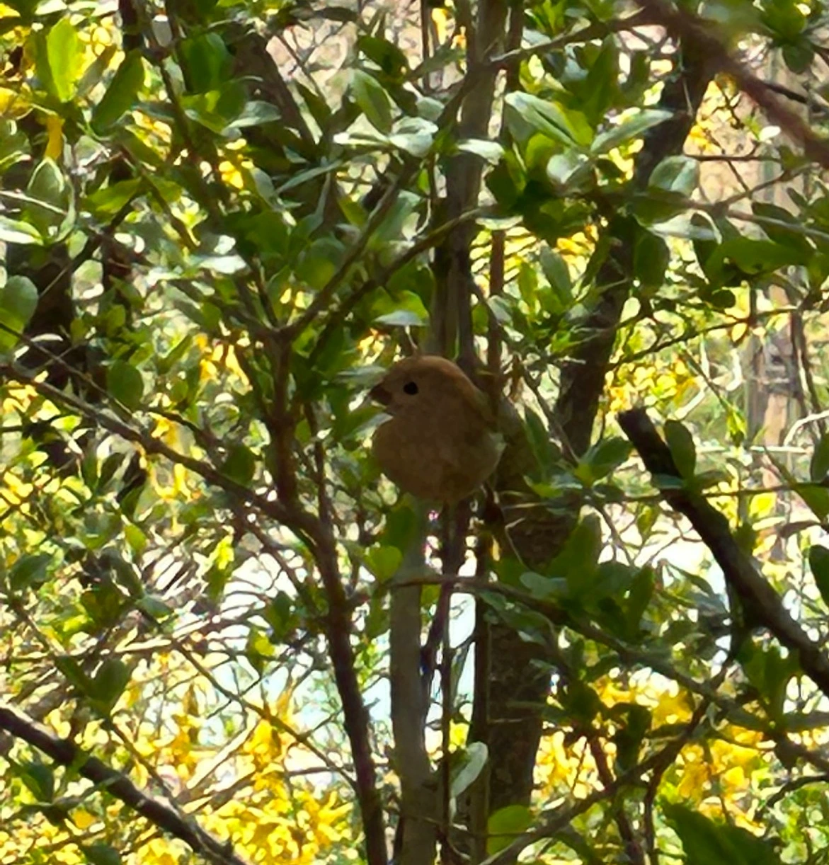 SE-1e3ea885-7294-456b-a297-9c6bc022c690.jpg?type=w3840