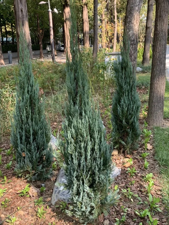 IMG_0313.JPG?type=w580