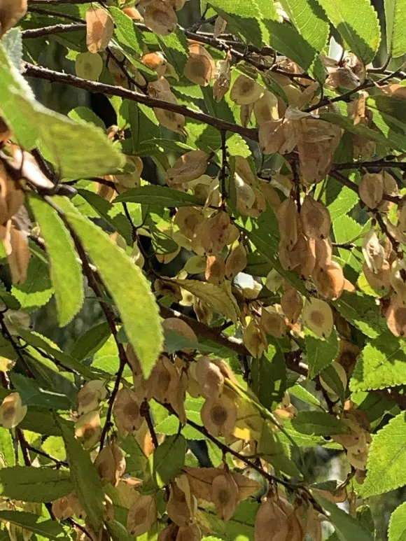 IMG_0390.JPG?type=w580