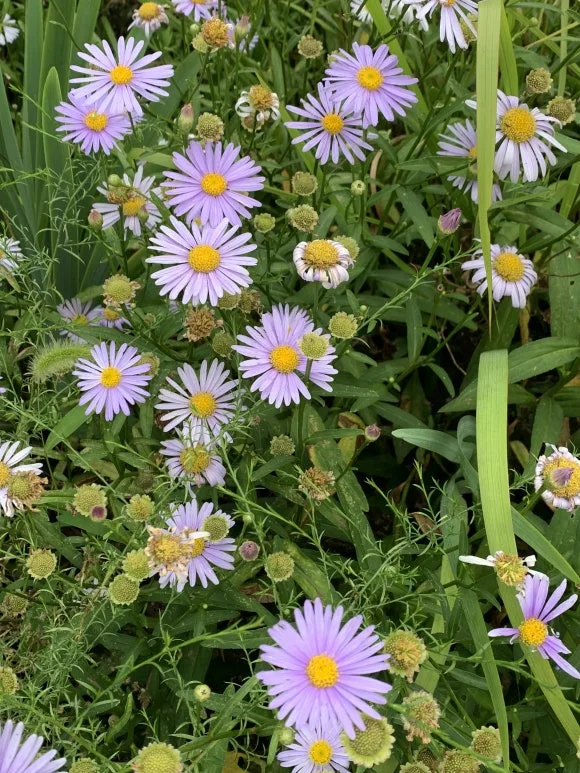 IMG_9457.JPG?type=w580