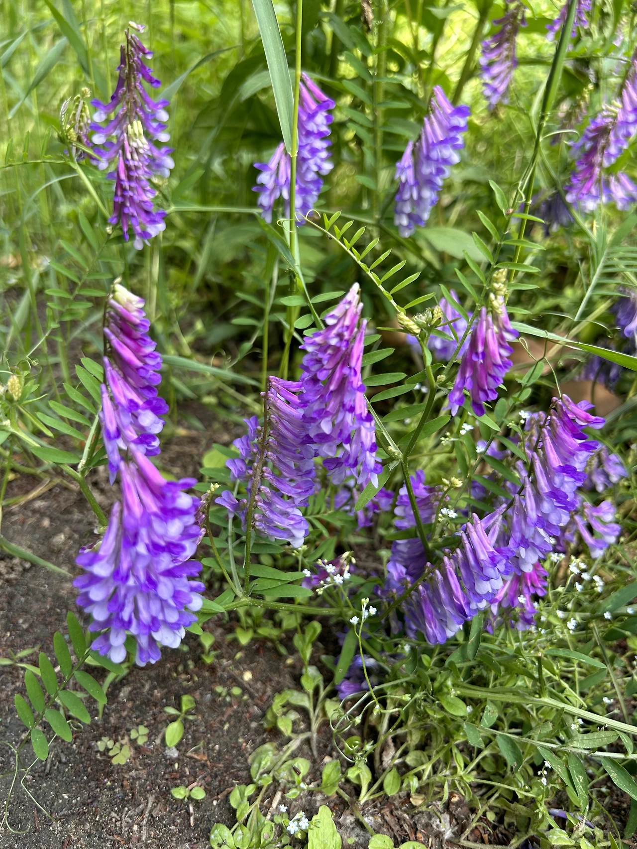 IMG_5715.JPG?type=w3840