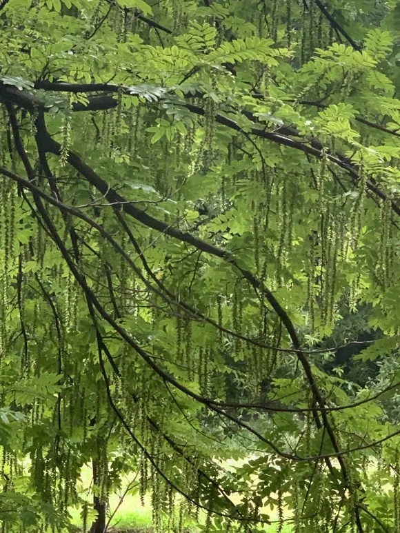 IMG_7697.jpg?type=w580