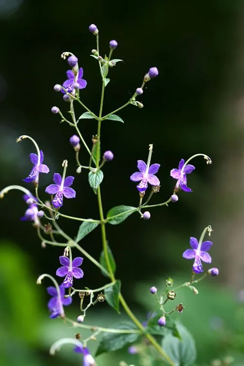 %EB%88%84%EB%A6%B0%EB%82%B4%ED%92%80.jpg?type=w580