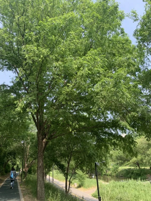 IMG_7170.JPG?type=w580