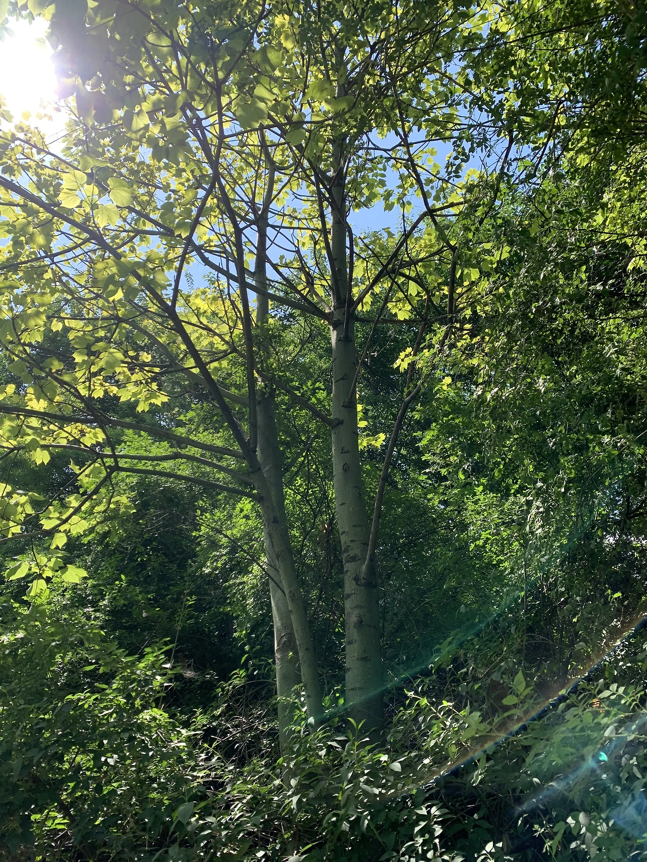 IMG_6988.JPG?type=w3840