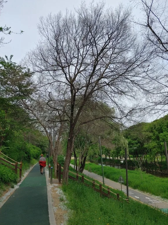 20210424_150949_HDR.jpg?type=w580