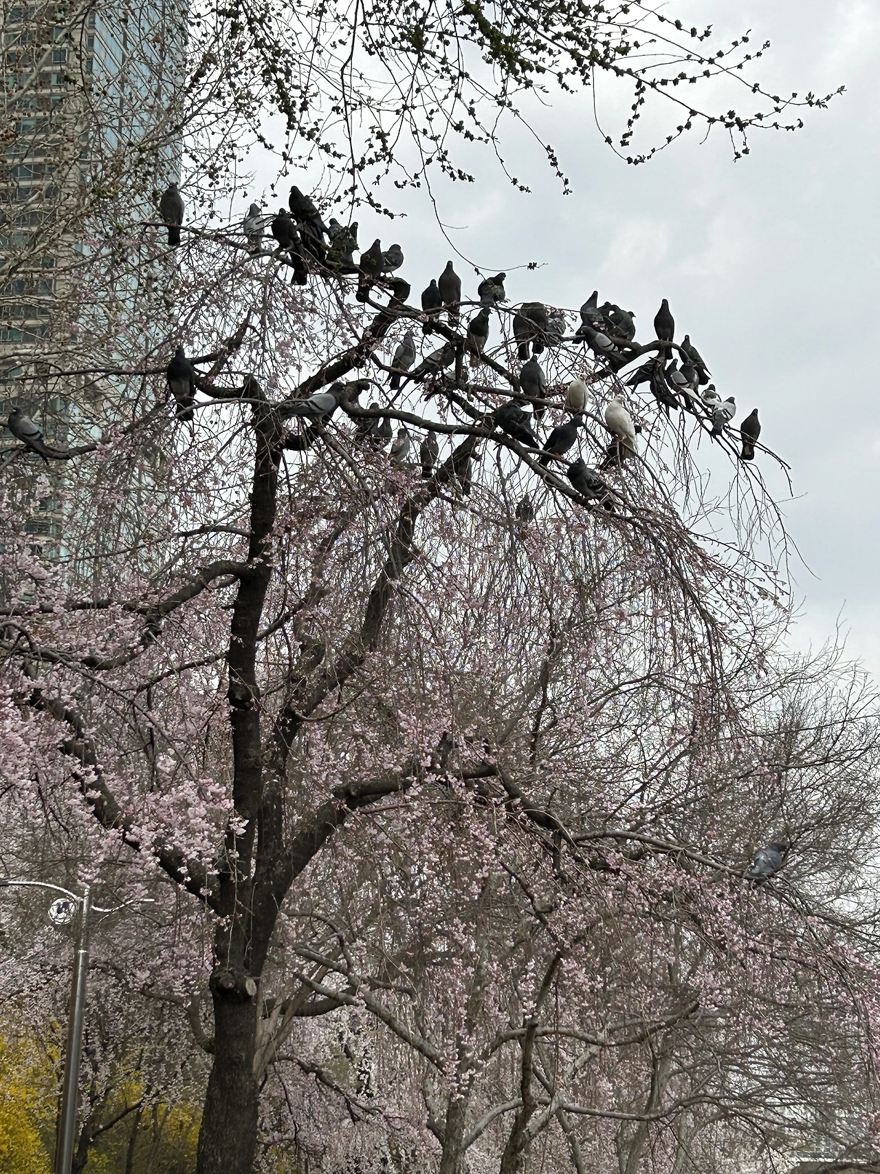 IMG_3620.JPG?type=w3840