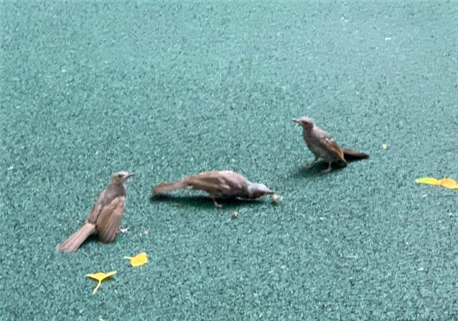 %EC%83%88.png?type=w580